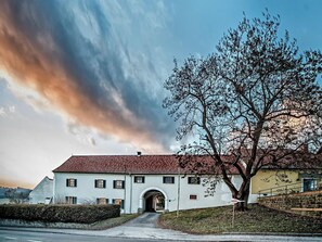 Exteriör
