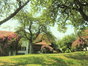 Boendeområde