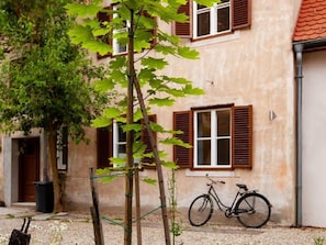 Exteriör