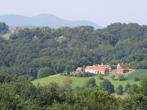 Ferienhaus Kellerstöckl Dorrer mit Schwimmteich