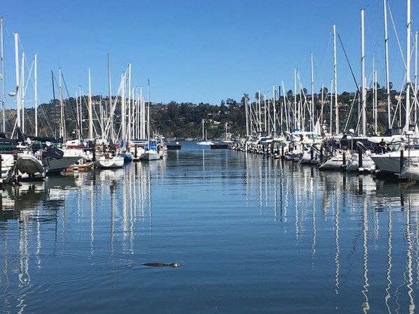 Jachthaven