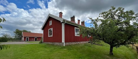 Eksteriør