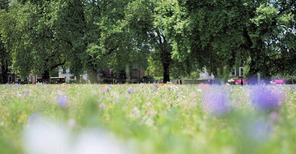 Overnatningsstedets område