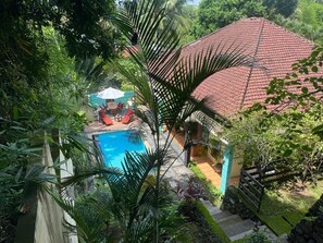 The Pool and Tropical Garden