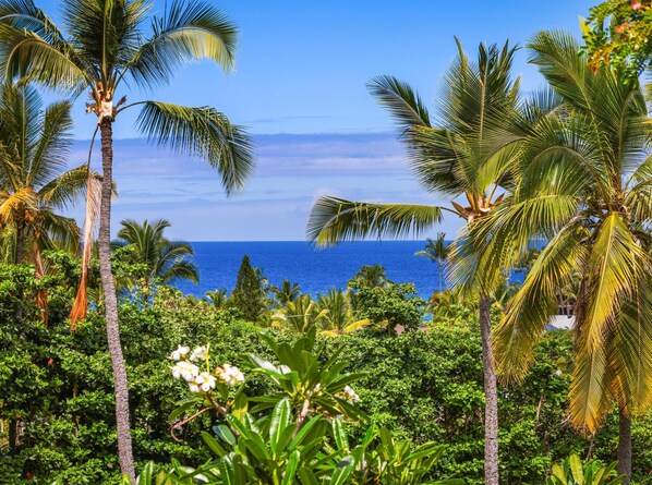 "The upstairs balcony with ocean view is absolutely stunning." - Kelly, Seattle