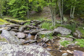 Stream Running the Length of the Property