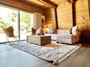 Comfortable sofa bed in living room to watch movies or just cuddle.