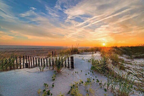 Beach