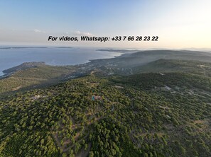 DJI 0163