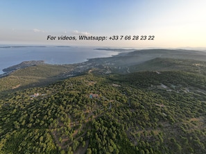 DJI 0163