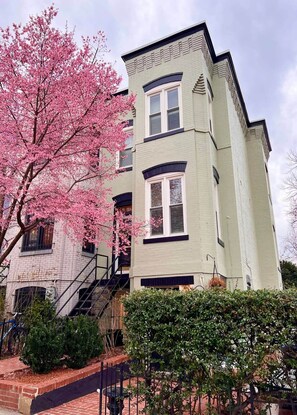 Cherry Blossom in your front yard