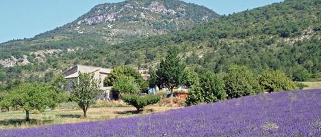 Terrain de l’hébergement 