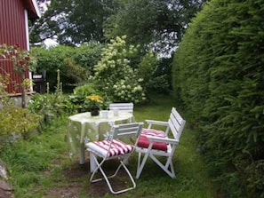 outside area in the garden