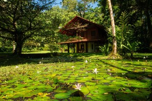 House from pond area