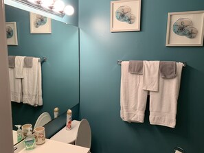 Bathroom #1