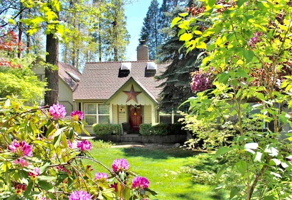 The Green House Twain Harte: Peaceful mountain/lake home with amazing amenities (private pool and spa) in the best location!