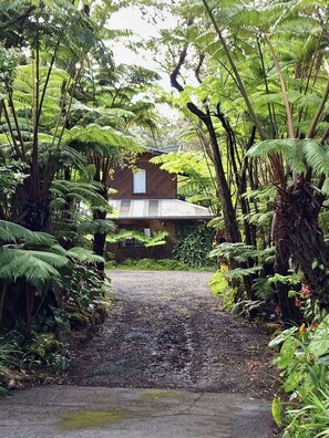 The view of The Pacifica Inn from the entrance.