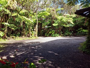 Parking Area 
1 vehicle per rented unit allowed
