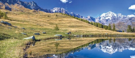 Terrain de l’hébergement 