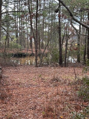 Assawoman Canal