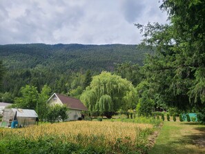 Mountain view from Garden.