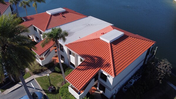 Palm trees swaying in the gentle lake breeze welcome you home!