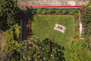 Garden view from above