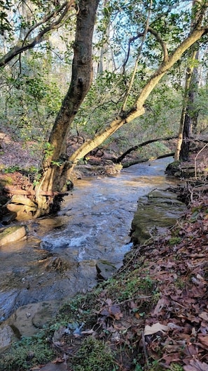 Creek on property