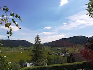 Summer view
