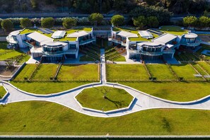 Buildings and garden