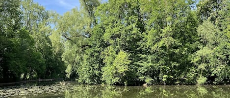 Parc des Sources à 100 mètres