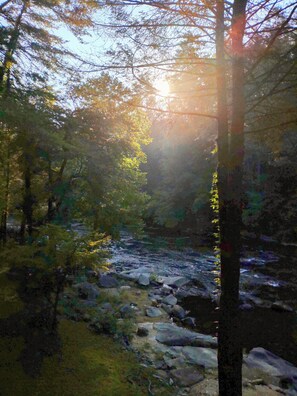 Sunrise on the river