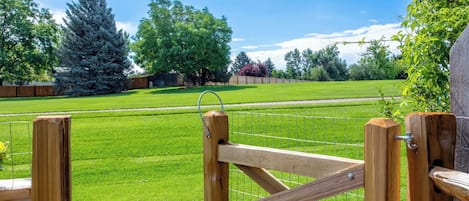 Back gate opening to park