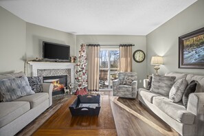 Seasonal fireplace and smart TV