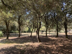 Property grounds