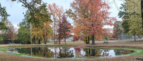 Stocked pond at Cline Park.