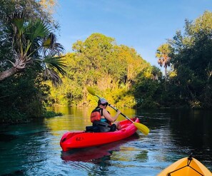 Weeki Wachee springs