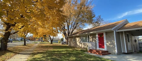 beautiful fall foliage 