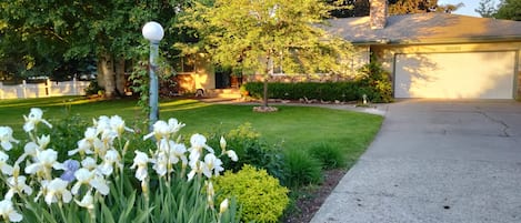 Front yard in Spring season