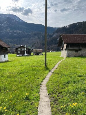 Picture 3