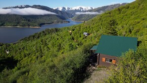 Cabin is nestled in trees but with immeasurable views of the lake