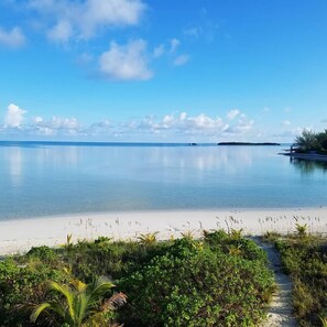 The beach! The beach! The beautiful beach! 