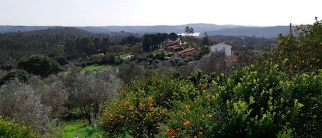 view from the the house. Part of the property and the lake at the end