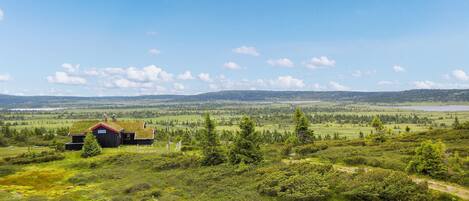 Overnattingsstedets uteområder