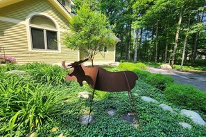 Dancing Moose