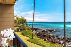 Direct ocean views