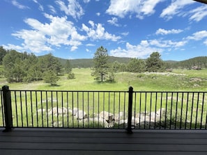 Views from the front covered porch