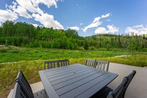 Spacious back patio, backing to national forest
