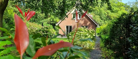 Vanaf de privé parkeerplaats loopt u zo het perceel van de bosbungalow op.