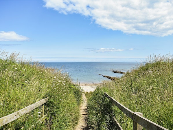 Strand